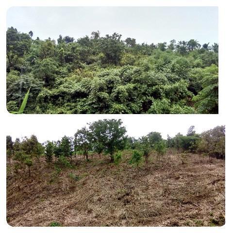 WhatsApp Image 2020-09-22 at 4.02.43 PM.jpeg